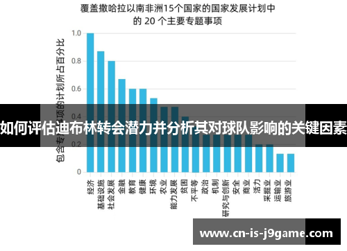 如何评估迪布林转会潜力并分析其对球队影响的关键因素