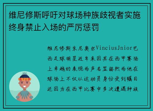 维尼修斯呼吁对球场种族歧视者实施终身禁止入场的严厉惩罚